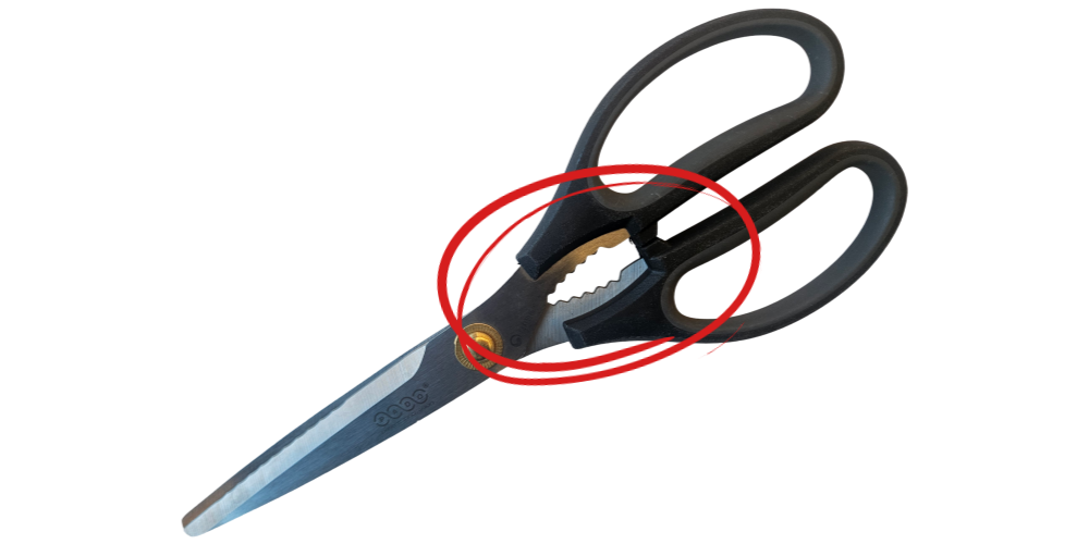 copy-1755768145-EAB080EC9C84.png